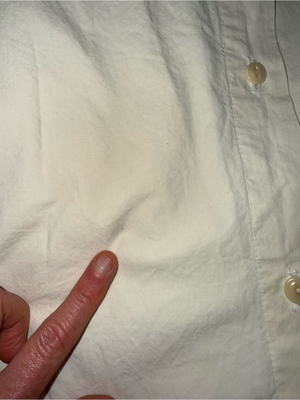 Rudy Jude Pony Blouse Salt Medium - Picture 3 of 6
